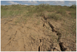 自動化監測 自動化監測